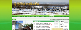 鄭州黃河濕地自然保護區